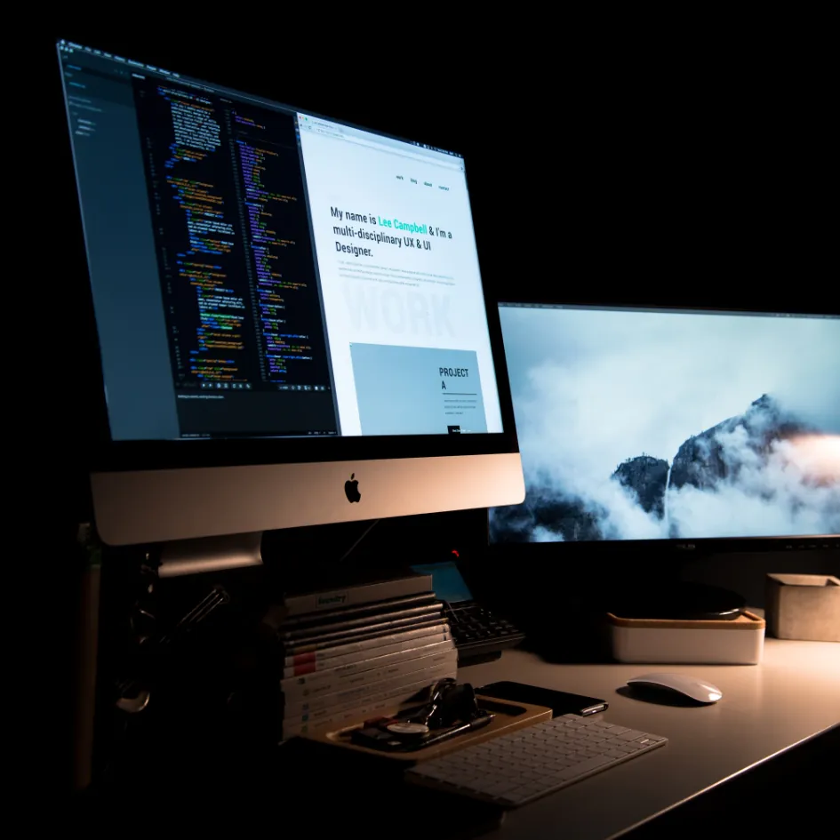 Desarrollo web profesional